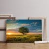 wide angle shot single canvas tree growing clouded sky during sunset surrounded by grass Printed wall art