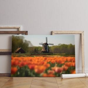 Beautiful canvas Traditional dutch windmill with tulip flower garden landscape ai