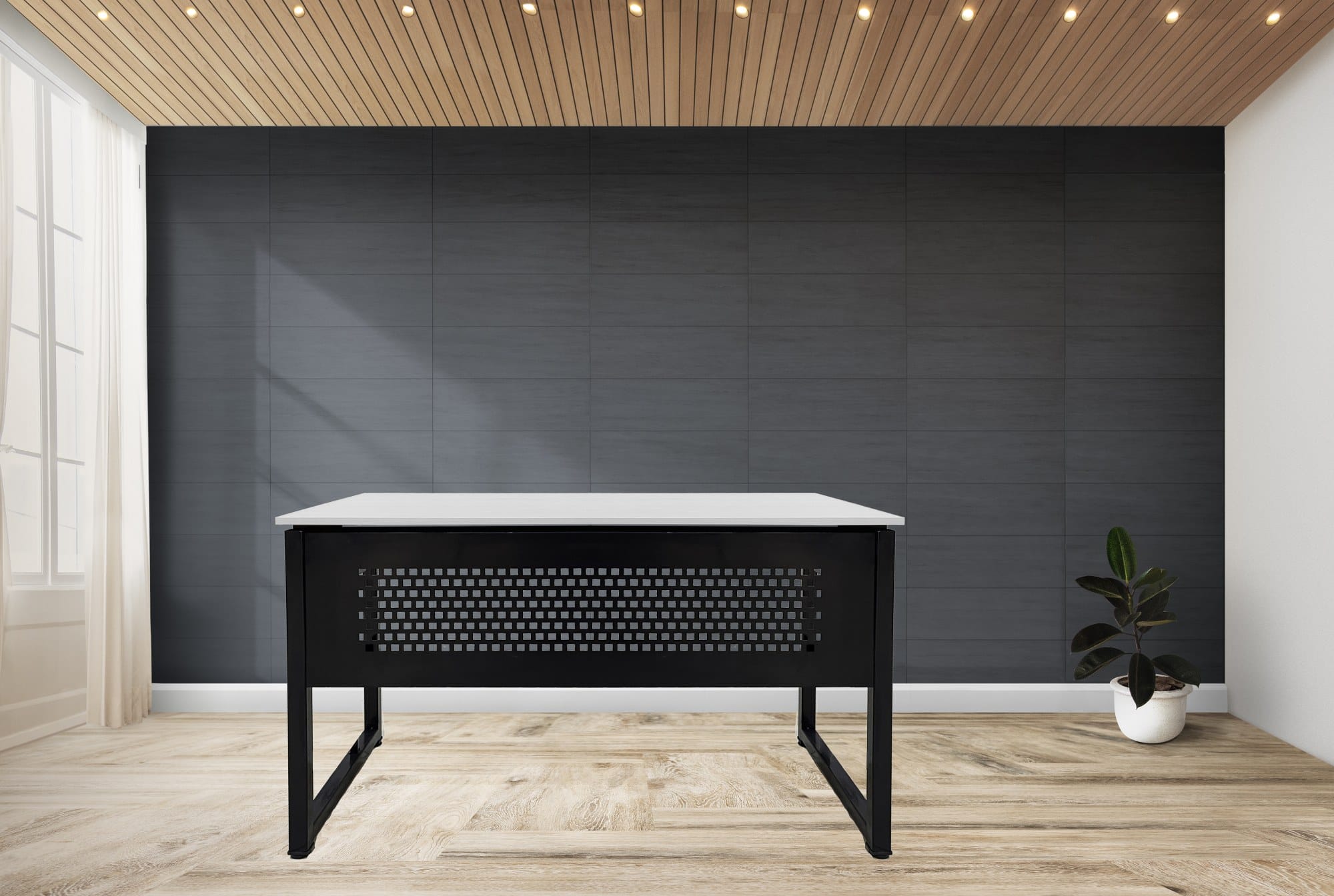 Plant against a black wall mockup