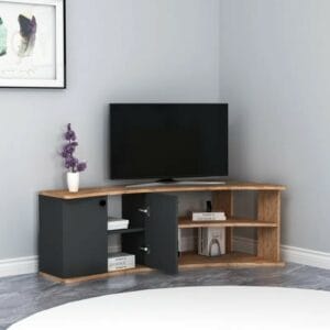 TV Stand with Shelves and Cabinet Dion