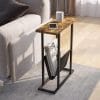 Holifield Side Table with Storage