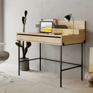 Modern Office Desk with Storage Compartments