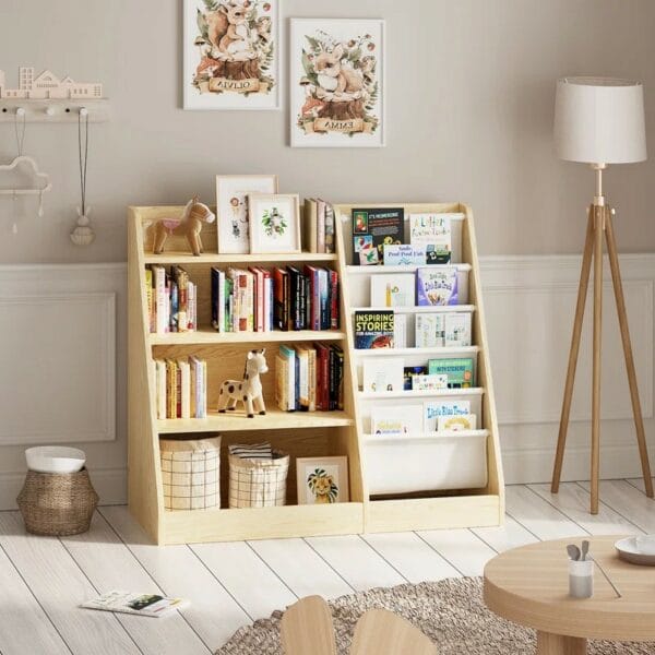 Organizer Cabinet Book Display
