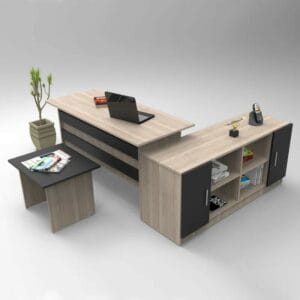 Burakcan 3 Writing Desk Office Set