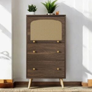 1 - Door Rectangle Accent Cabinet