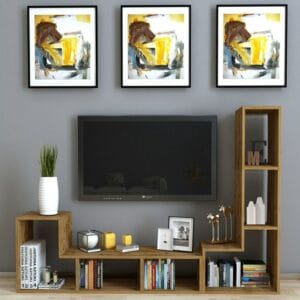 Multipurpose Functional TV Stand